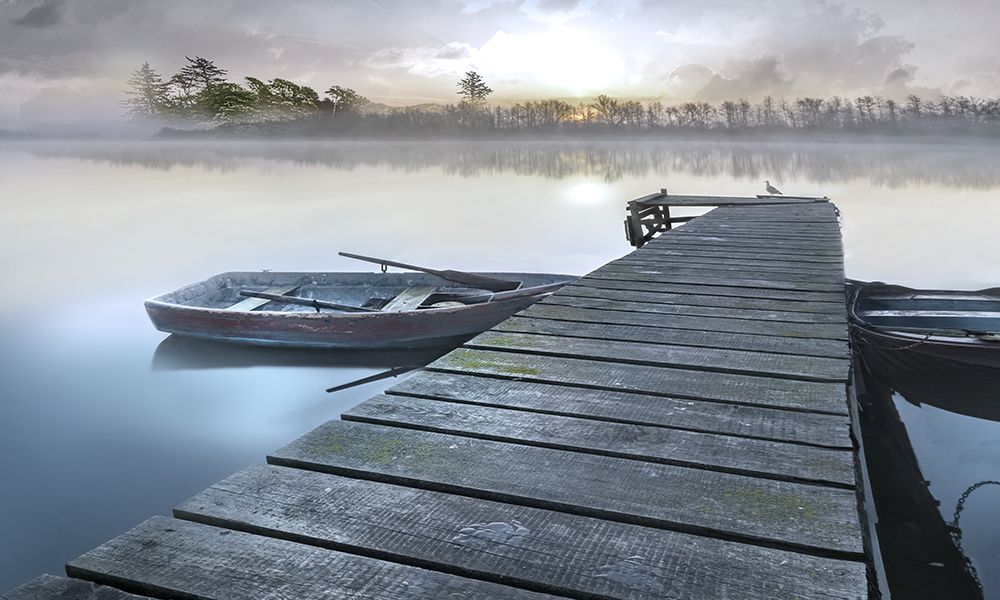 Misty art print by Mike Calascibetta for $57.95 CAD