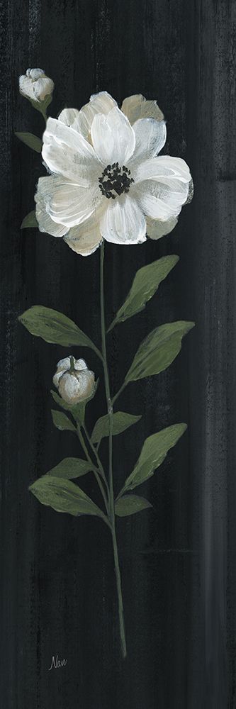 White Country Botanical I art print by Nan for $57.95 CAD