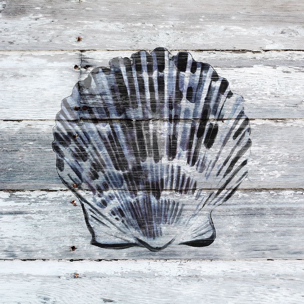 Blue Scallop art print by Carol Robinson for $57.95 CAD