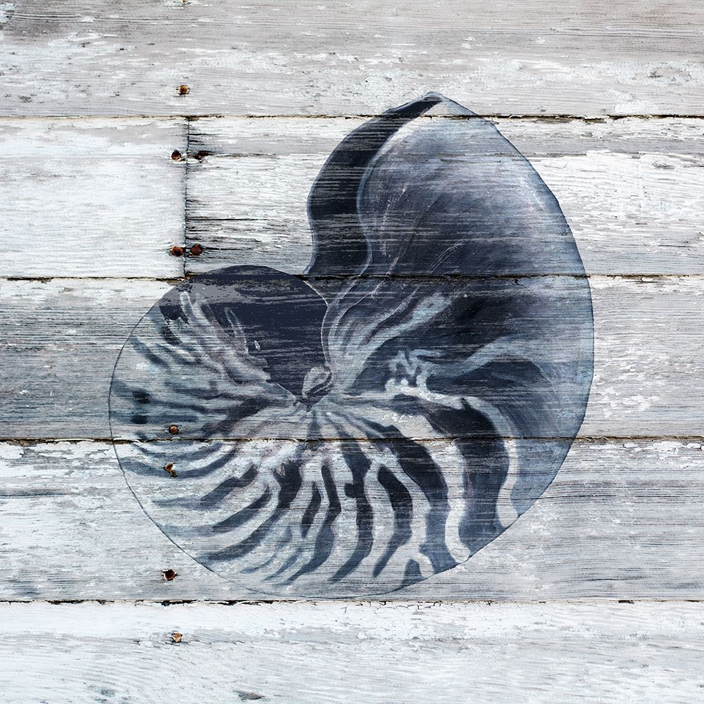 Blue Nautilus art print by Carol Robinson for $57.95 CAD