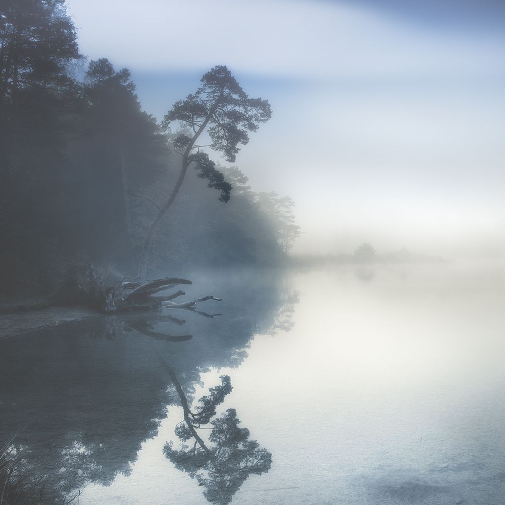 Indigo Moody Lake art print by Irene Weisz for $57.95 CAD