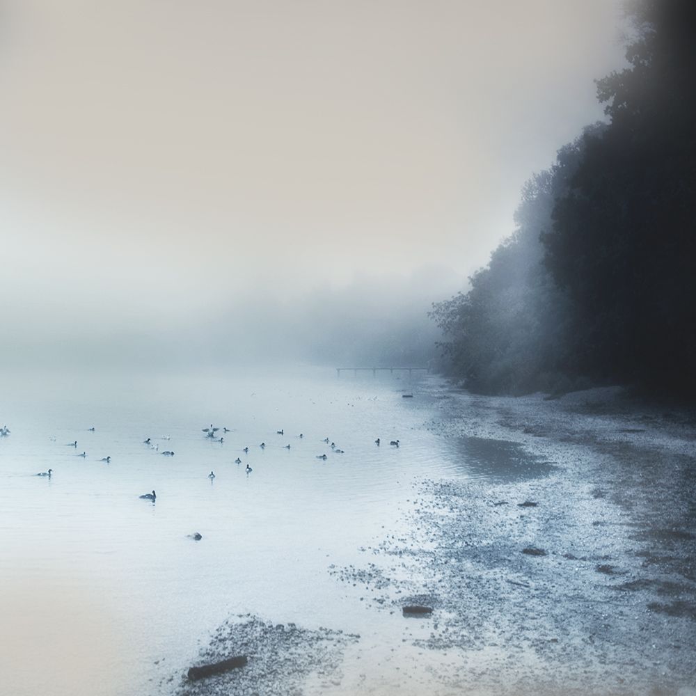 Indigo Moody Shore art print by Irene Weisz for $57.95 CAD