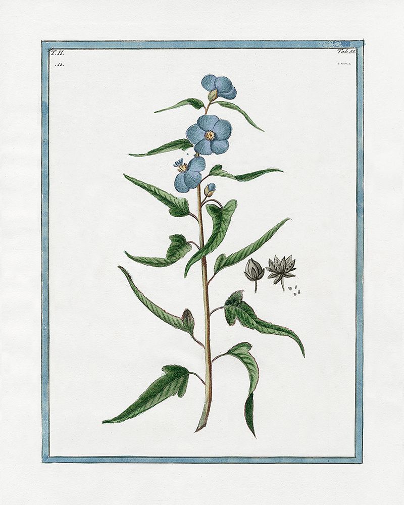 Shabby Chic Botanical I art print by Kelly Donovan for $57.95 CAD