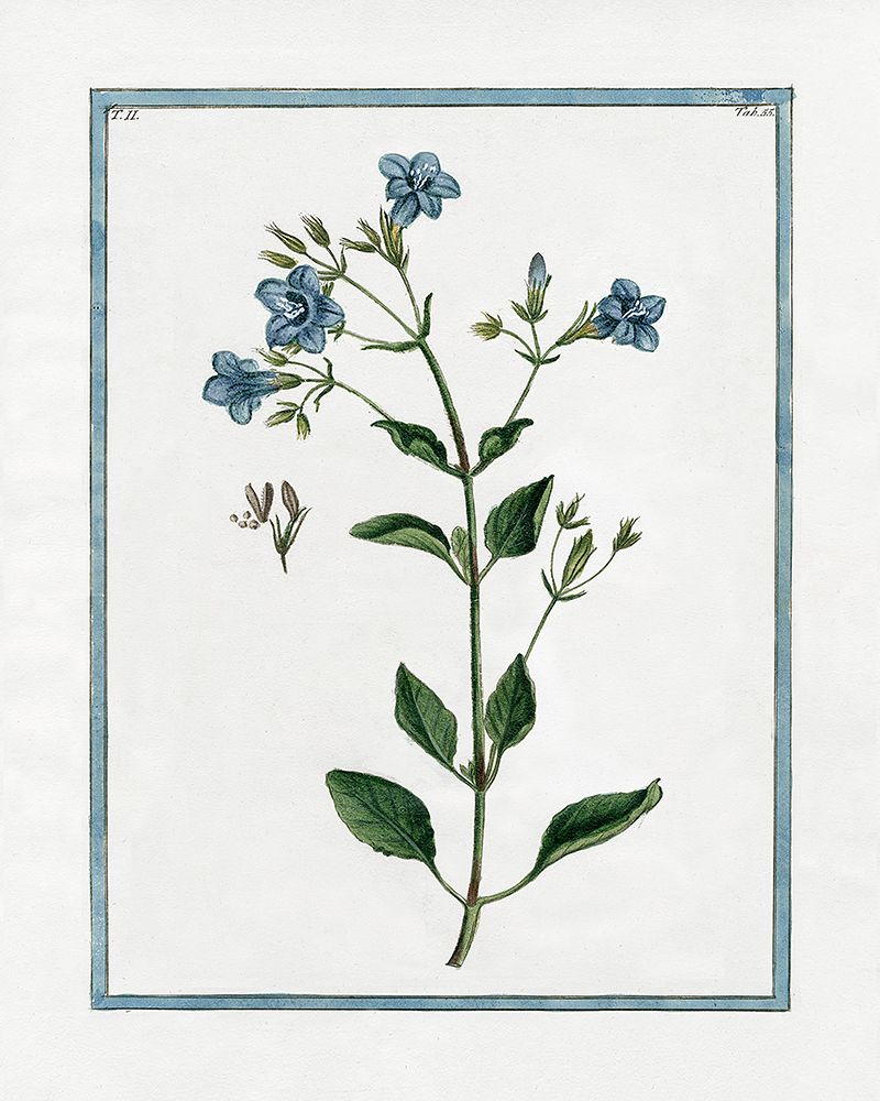 Shabby Chic Botanical II art print by Kelly Donovan for $57.95 CAD