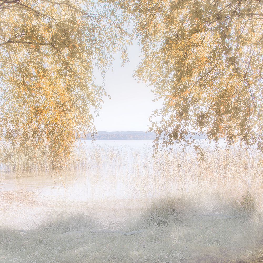 Friendly Lake art print by Irene Weisz for $57.95 CAD