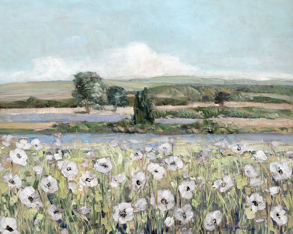 Vintage Poppy Valley art print by Sally Swatland for $57.95 CAD