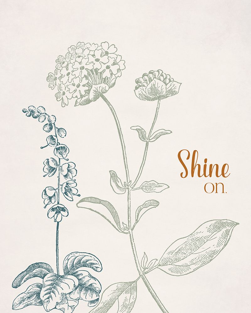 Shine On art print by Daniela Santiago for $57.95 CAD