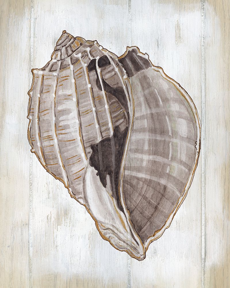 Ocean Cone II art print by Carol Robinson for $57.95 CAD