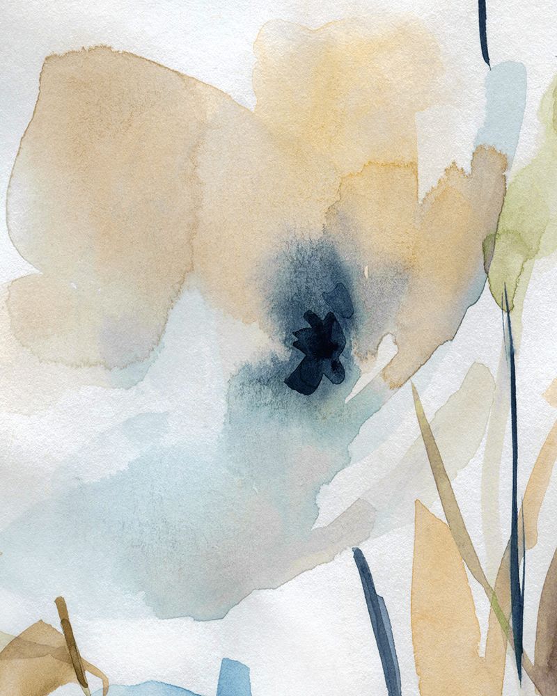 Blooming Wash II art print by Carol Robinson for $57.95 CAD