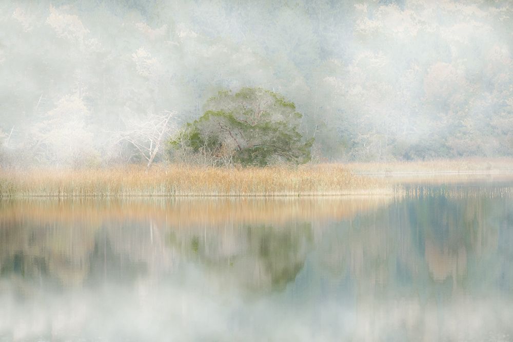 Silent Morning River art print by Irene Weisz for $57.95 CAD