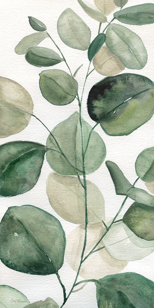 Lush and Leafy II art print by Carol Robinson for $57.95 CAD