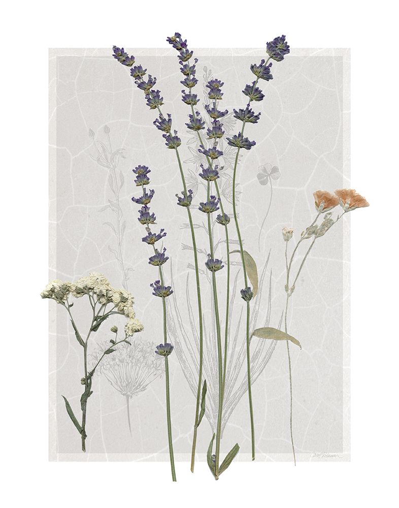 Field Study Page I art print by Carol Robinson for $57.95 CAD