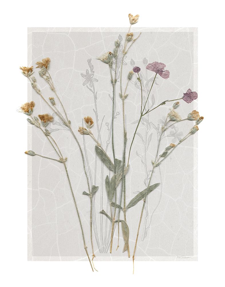 Field Study Page II art print by Carol Robinson for $57.95 CAD