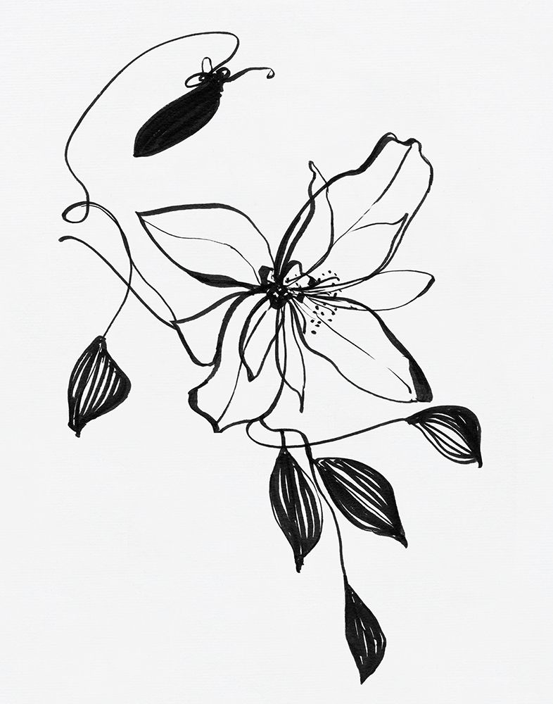 Wild Clematis I art print by Sally Swatland for $57.95 CAD