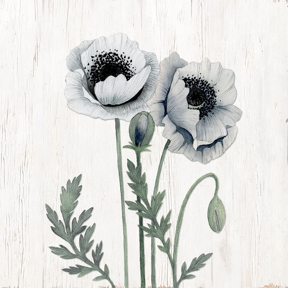 Poppies I art print by Kourtni Gunn for $57.95 CAD