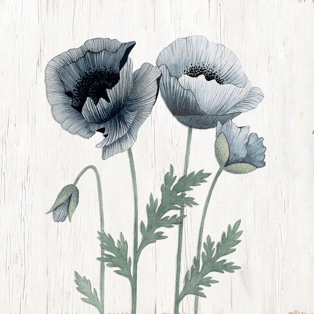 Poppies II art print by Kourtni Gunn for $57.95 CAD