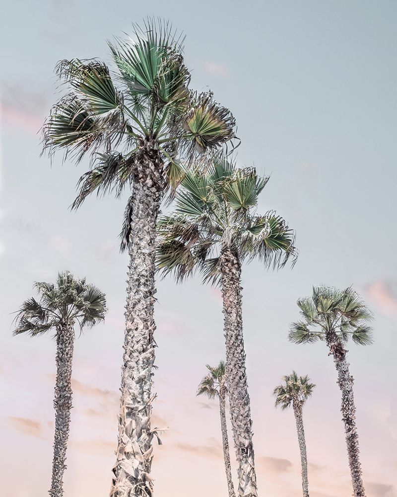 Palm Up II art print by Natalie Carpentieri for $57.95 CAD