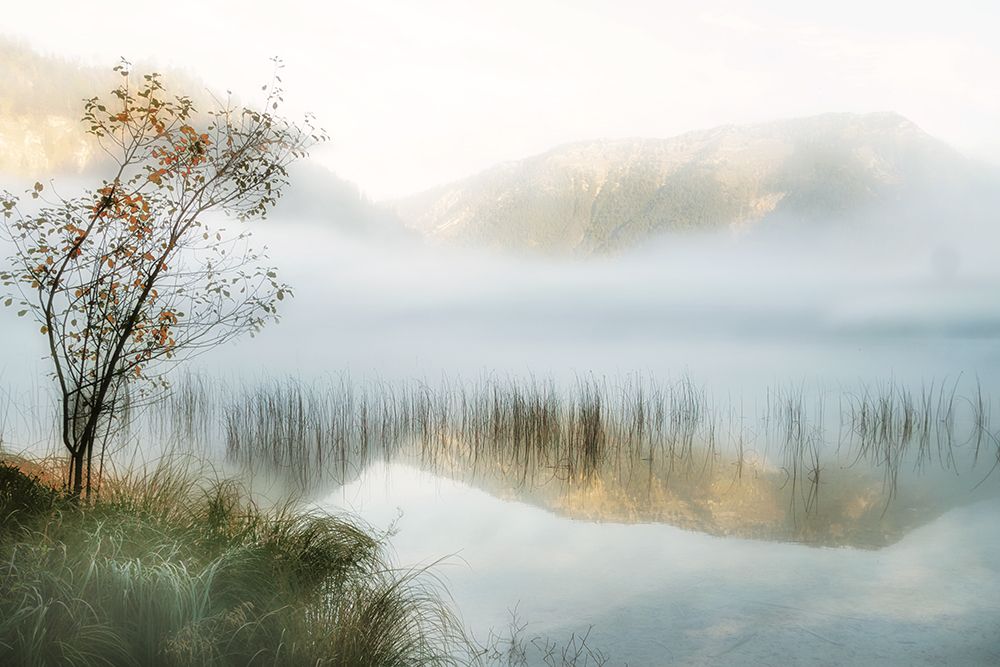 Golden Mirror of October art print by Irene Weisz for $57.95 CAD