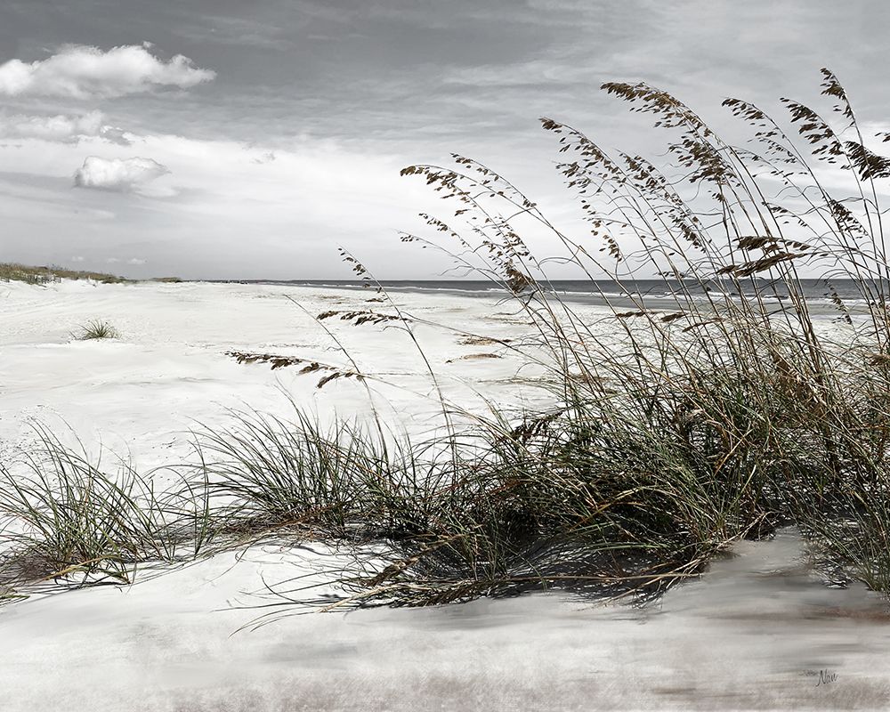 Neutral Sea Oats art print by Nan for $57.95 CAD