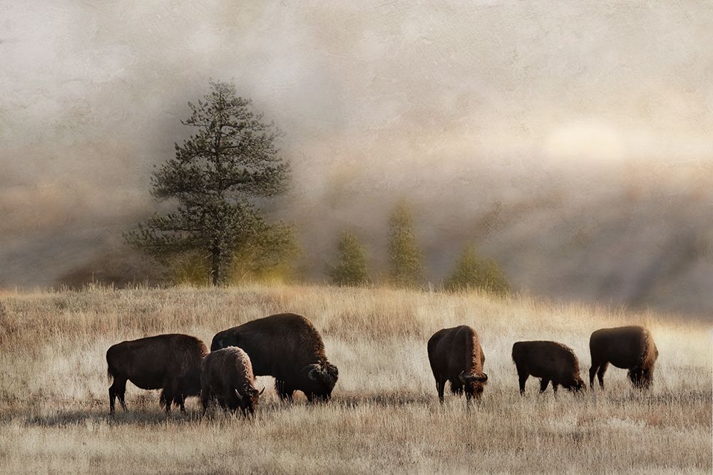 Ridge Grazing art print by Danita Delimont for $57.95 CAD