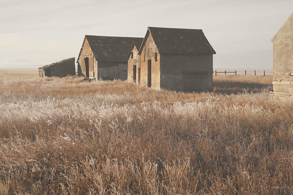 The Old Farm art print by Carol Robinson for $57.95 CAD