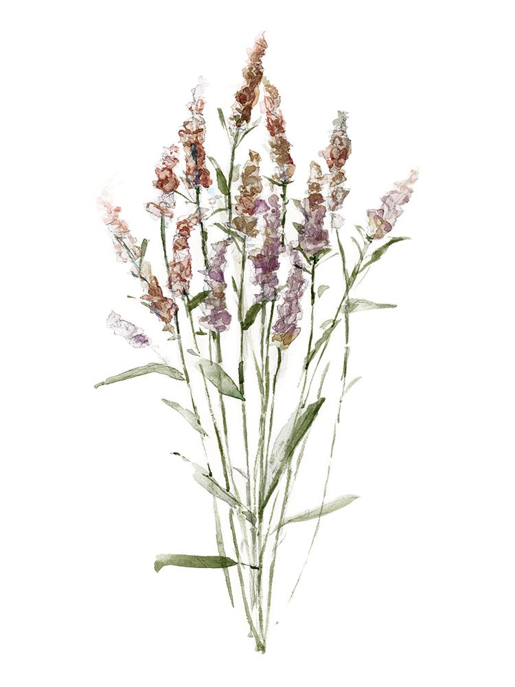 Dainty Botanical III art print by Sally Swatland for $57.95 CAD
