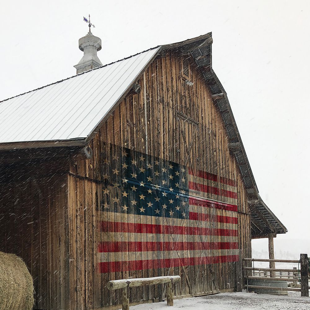 America Proud art print by Carol Robinson for $57.95 CAD