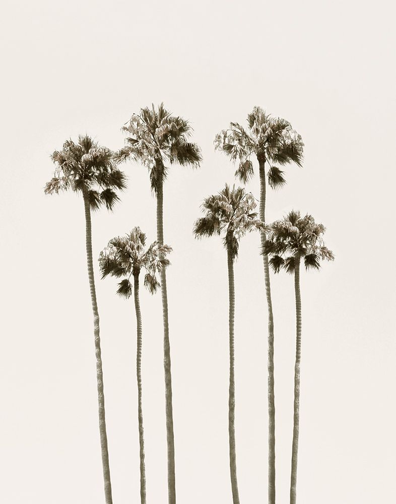 Palm Getaway art print by Natalie Carpentieri for $57.95 CAD