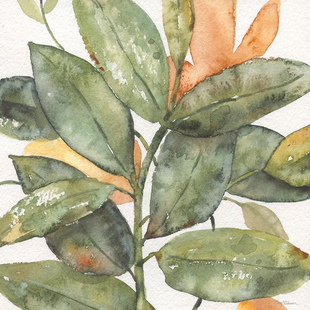 Plantlife I art print by Carol Robinson for $57.95 CAD