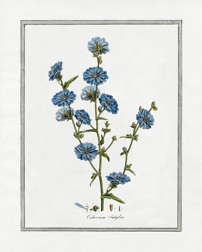 Soft Botanical I art print by CAD Designs for $57.95 CAD