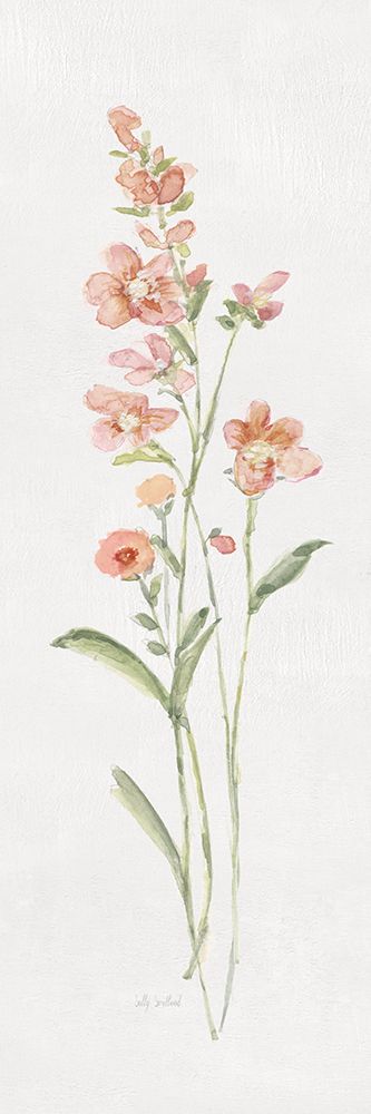 Wild Belle I art print by Sally Swatland for $57.95 CAD