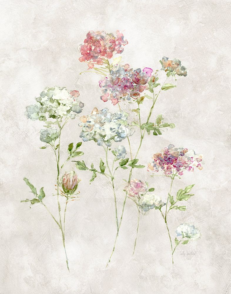 Soft Lace I art print by Sally Swatland for $57.95 CAD