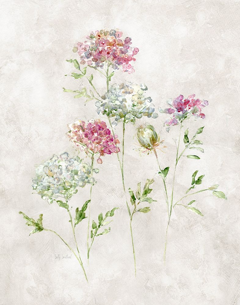 Soft Lace II art print by Sally Swatland for $57.95 CAD