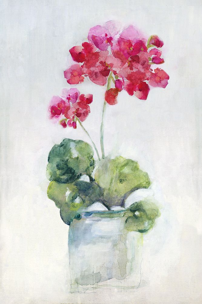 Soft Geranium II art print by Sally Swatland for $57.95 CAD