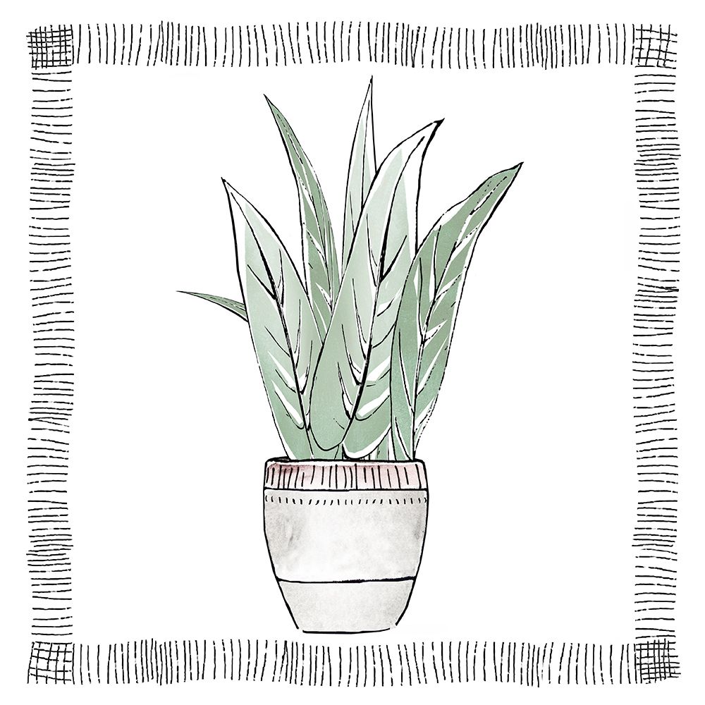 Snake Plant art print by Tava Studios for $57.95 CAD
