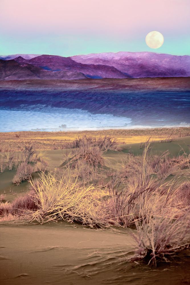 Moonrise, Namibia art print by Danita Delimont for $57.95 CAD