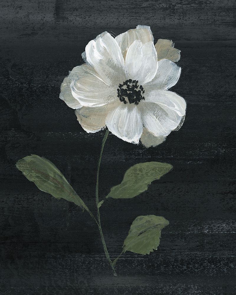 Country Botanical I art print by Nan for $57.95 CAD