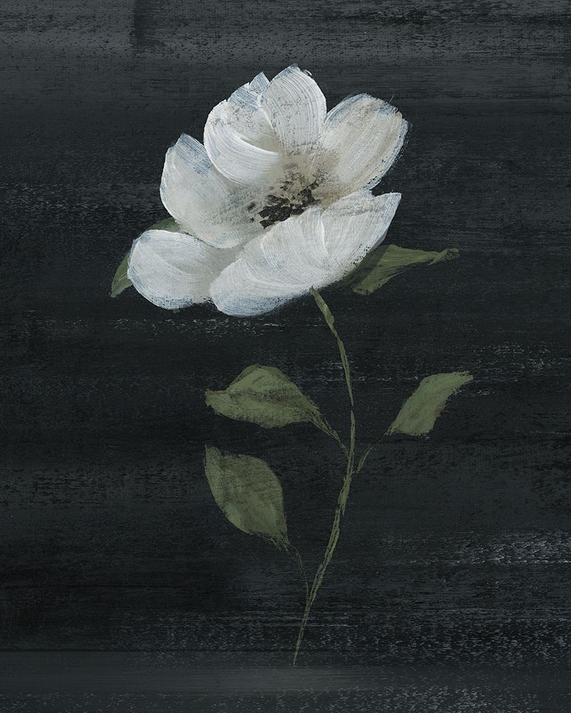 Country Botanical II art print by Nan for $57.95 CAD