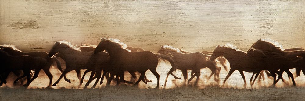 Frontier Stampede art print by Danita Delimont for $57.95 CAD