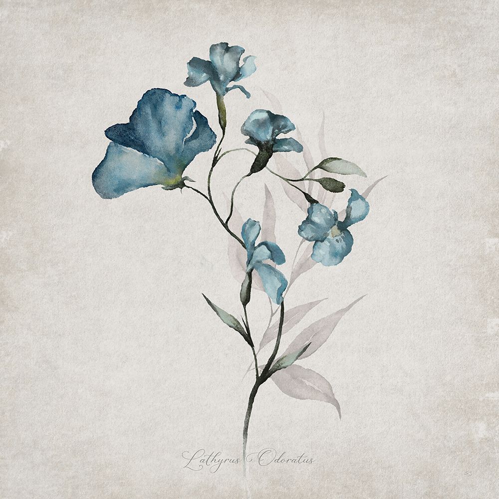 Sweet Peas art print by Susan Jill for $57.95 CAD