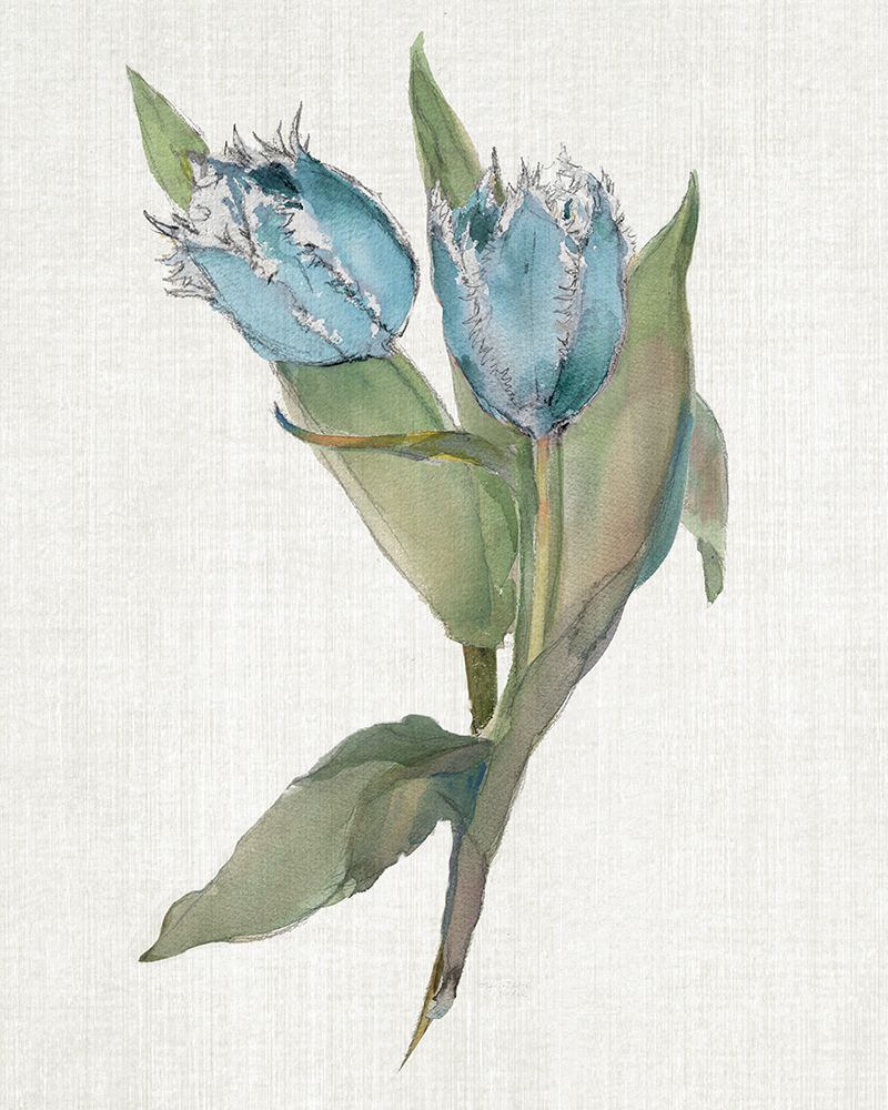 Blue Tulip Picks II art print by Theresa Troise Heidel for $57.95 CAD