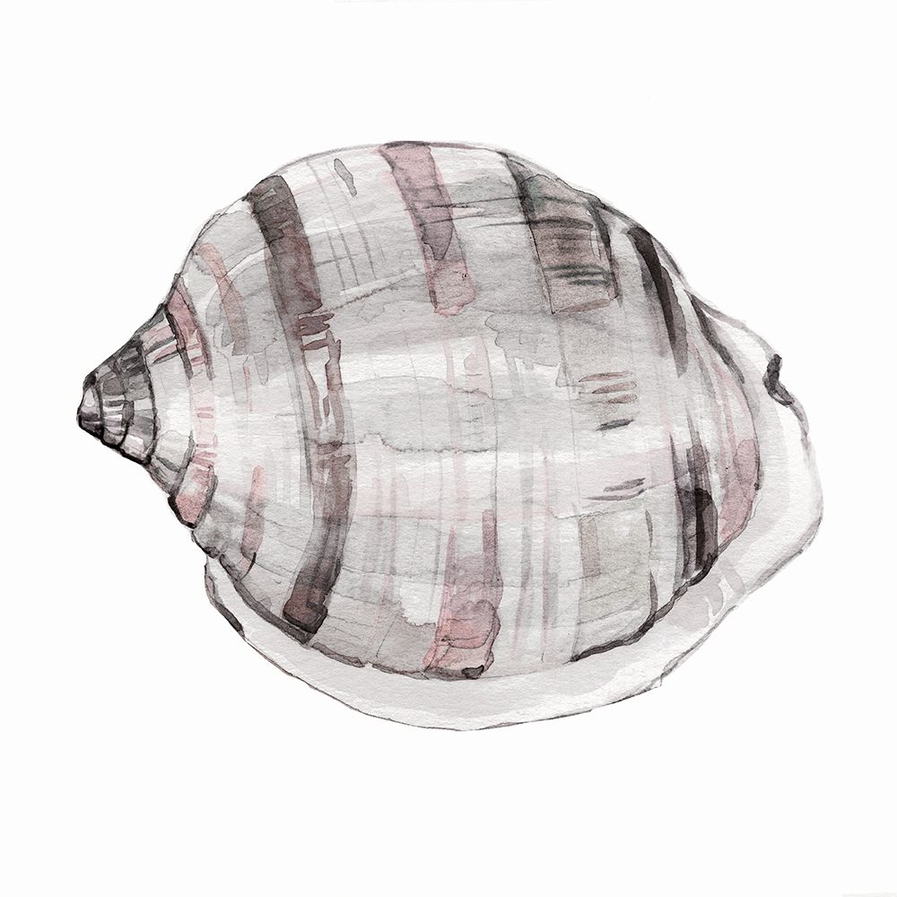 Blush Shell I art print by Carol Robinson for $57.95 CAD