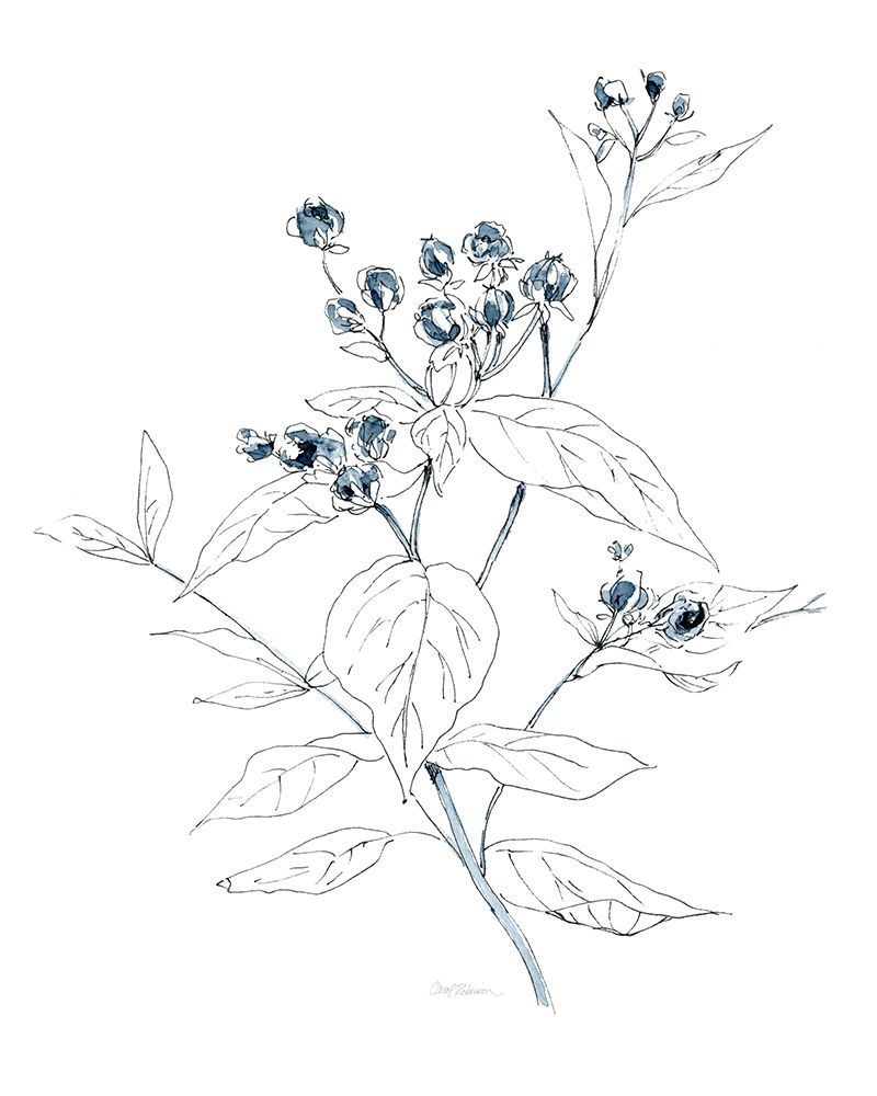 Indigo Sketch I art print by Carol Robinson for $57.95 CAD