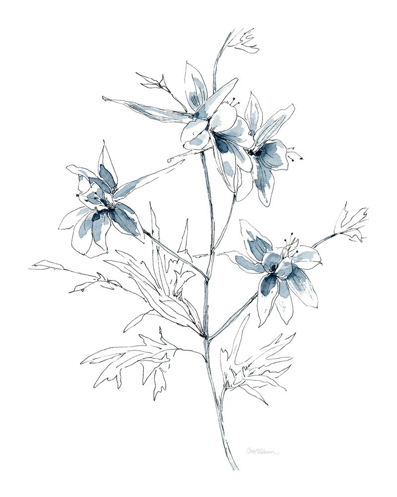 Indigo Sketch II art print by Carol Robinson for $57.95 CAD