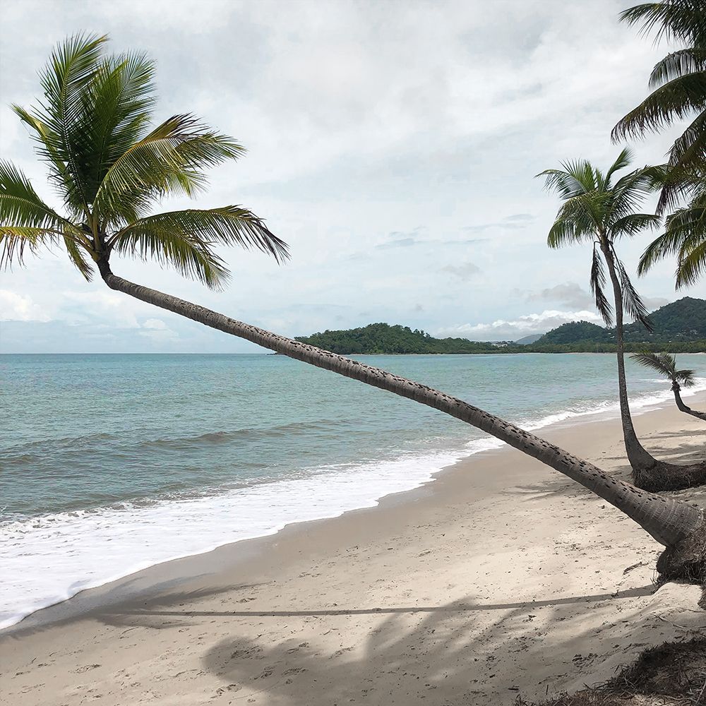 Leaning Palm art print by Carol Robinson for $57.95 CAD