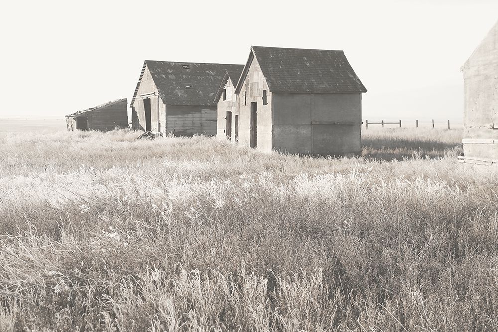 Neutral Barn art print by Carol Robinson for $57.95 CAD