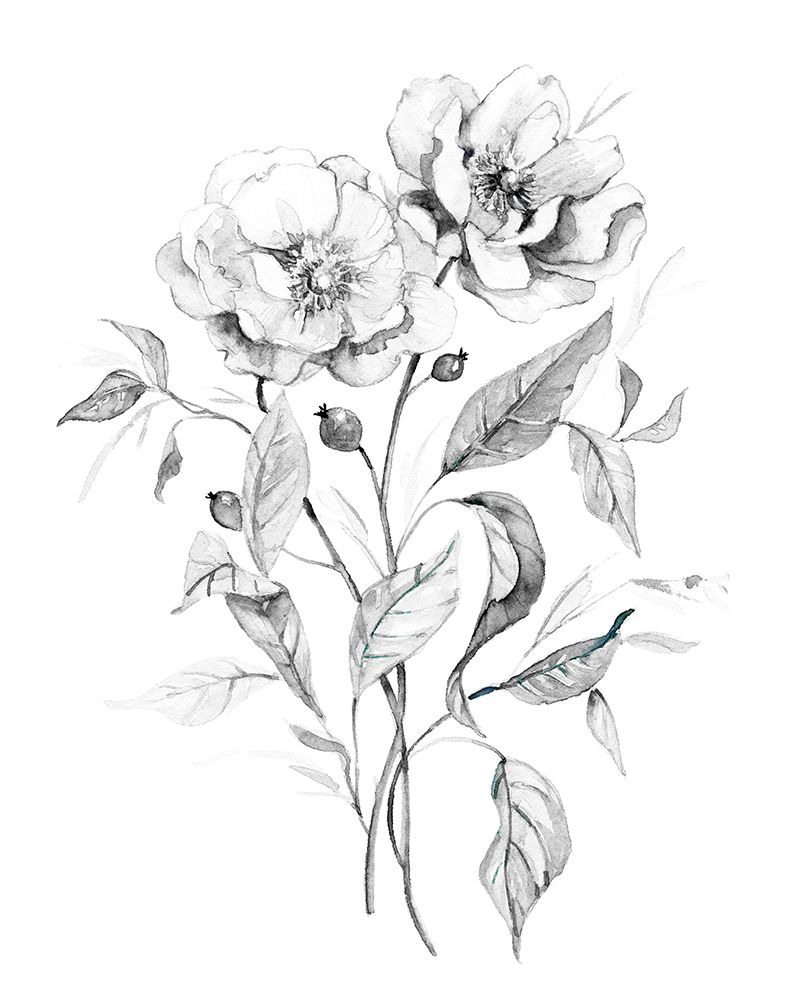 Wild Roses art print by Carol Robinson for $57.95 CAD