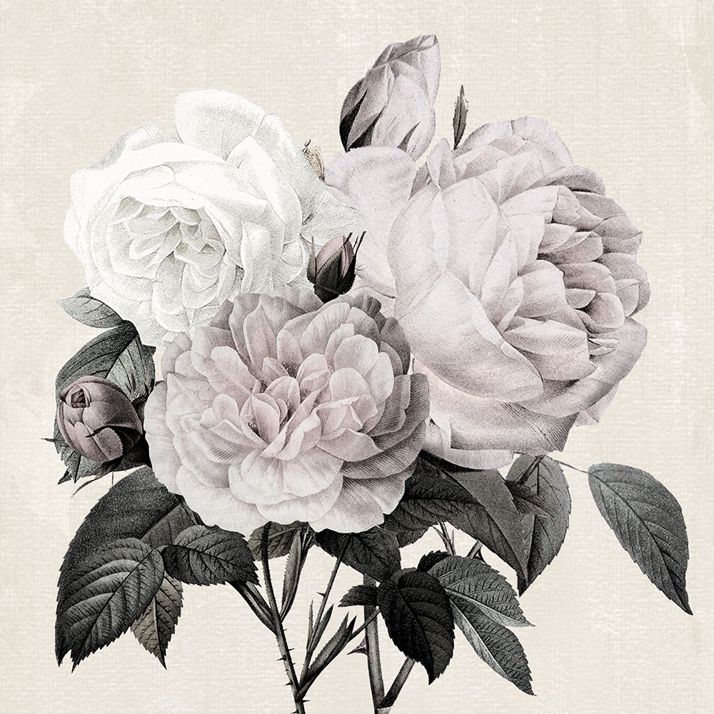 Botanical Arrangement I art print by Kelly Donovan for $57.95 CAD