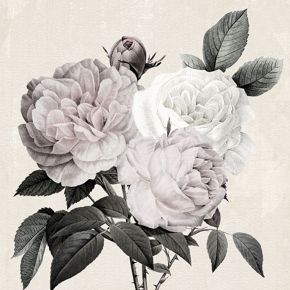 Botanical Arrangement II art print by Kelly Donovan for $57.95 CAD