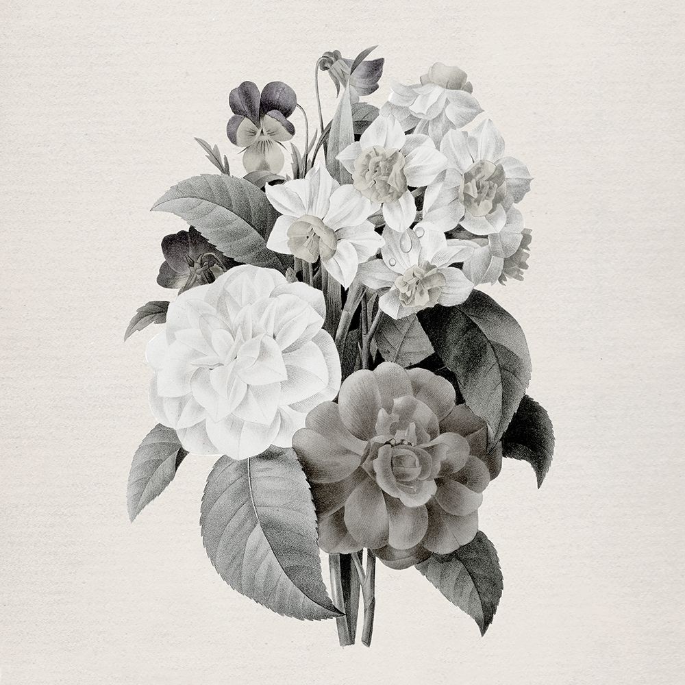 Neutral Botanical Camelias art print by Carol Robinson for $57.95 CAD